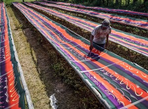 Alokasi Anggaran Kemenkop UKM 2025