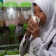 Jadi Alternatif Susu Sapi, Pemerintah Diminta Serius Kembangkan Susu Ikan