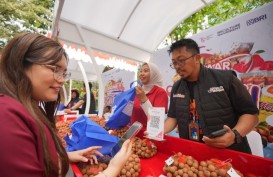 Pemberdayaan BRI Bikin Klaster Kelengkeng di Tuban Makin Bersinar