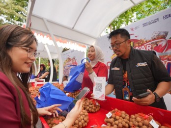 Pemberdayaan BRI Bikin Klaster Kelengkeng di Tuban Makin Bersinar