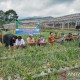 Batang Pacu Produktivitas Bawang Merah