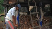 Harga Kopra Hitam Meningkat Menjadi Rp12.000 per Kg