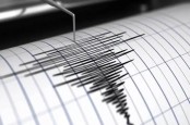 BMKG Catat 18 Gempa Susulan Usai Goncangan M5,5 di Kalimantan Timur