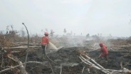 Pemadaman Karhutla Dua Kabupaten di Sumsel Gunakan Water Bombing