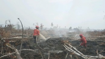 Pemadaman Karhutla Dua Kabupaten di Sumsel Gunakan Water Bombing