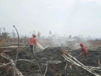 Pemadaman Karhutla Dua Kabupaten di Sumsel Gunakan Water Bombing