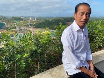 Jokowi Tawarkan 493 Bidang Tanah di IKN ke Investor Baru