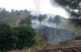 Kebakaran Lahan di Kalimantan Tengah, Warga Diimbau Waspada