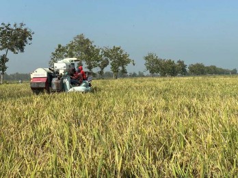 Bapanas Dukung Sang Hyang Seri Jadi Pusat Benih Nasional