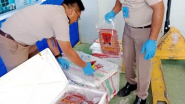 Pengiriman 106 Kg Daging Babi ke Sultra Digagalkan Karantina