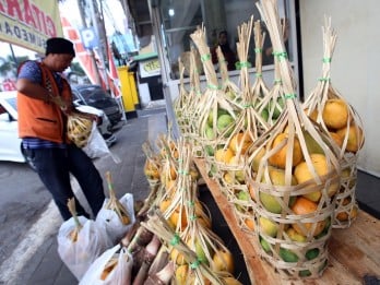 Mangga Gedong Gincu Pincut Investor Korsel, Bakal ke Sumedang Akhir September Ini