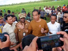 Ekonom Soroti Minimnya Efektivitas Food Estate Jokowi