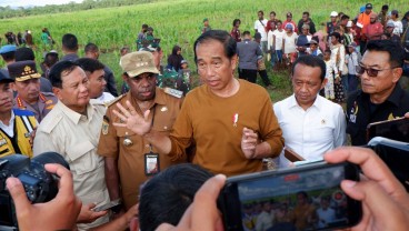 Ekonom Soroti Minimnya Efektivitas Food Estate Jokowi