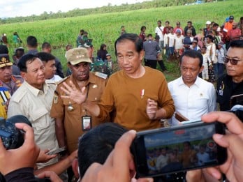 Ekonom Soroti Minimnya Efektivitas Food Estate Jokowi