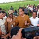 Ekonom Soroti Minimnya Efektivitas Food Estate Jokowi