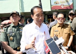 10 Tahun Jokowi, Produksi Sektor Pertanian Terus Merosot