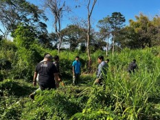 Pegawai Safari dan Marine Park Gianyar Tewas Diseruduk Gajah