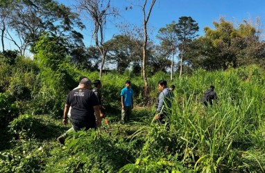 Pegawai Safari dan Marine Park Gianyar Tewas Diseruduk Gajah