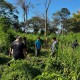 Pegawai Safari dan Marine Park Gianyar Tewas Diseruduk Gajah