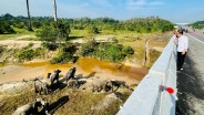 Pawang Gajah Tewas Diseruduk Gajah, Ini Penjelasan Taman Safari