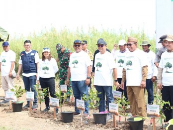 SPMT Grup Tambah Tanam 30.000 Bibit Mangrove, Perkuat Pesisir Kalteng