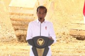 Groundbreaking Delonix di IKN, Jokowi: Kalau Mau Investasi Tahun ini, Tanahnya Murah