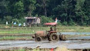 Jateng Dorong Akselerasi Perluasan Tanam Padi