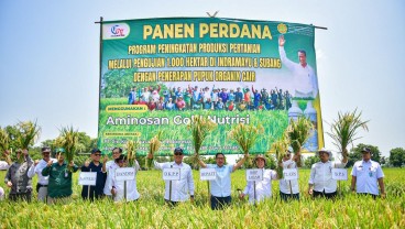 Indramayu Jadi Percontohan Nasional Pengembangan Pertanian Organik