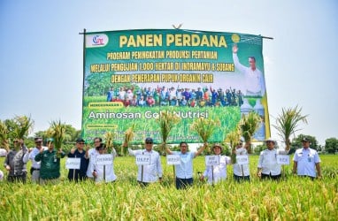 Indramayu Jadi Percontohan Nasional Pengembangan Pertanian Organik