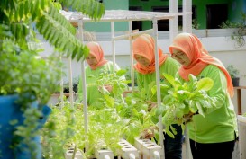 BRI Raih Penghargaan CSR untuk Negeri dalam Ajang Merdeka Award 2024