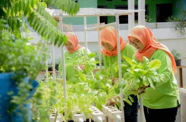 BRI Raih Penghargaan CSR untuk Negeri dalam Ajang Merdeka Award 2024