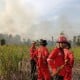 Pemadaman Kebakaran Hutan Gambut di Muara Enim Sudah Memasuki 22 Hari