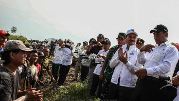 Proses Cetak Sawah di Kawasan Lumbung Pangan Kapuas