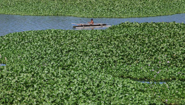 Sungai Jeneberang di Kabupaten Gowa Dipenuhi Tanaman Eceng Gondok