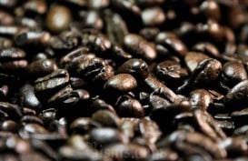 Harga Kopi Kerek Inflasi September 2024, Efek 'Perebutan' Kopi secara Global