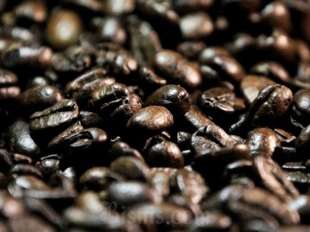 Harga Kopi Kerek Inflasi September 2024, Efek 'Perebutan' Kopi secara Global