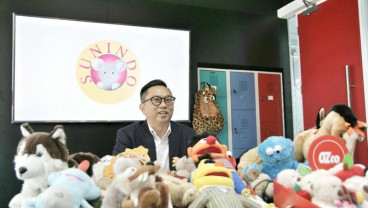 Enhancing the Attractiveness of Toy Products Through Bonded Zones