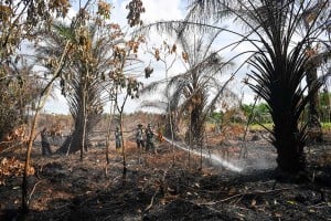 Pemadaman Kebakaran Hutan dan Lahan di Muara Enim Sumatra Selatan