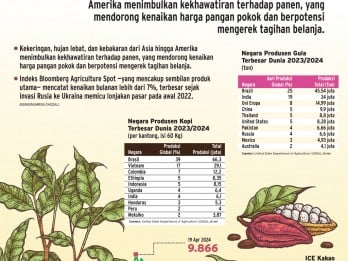 KOMODITAS GLOBAL : Cuaca Buruk Katrol Harga Pangan