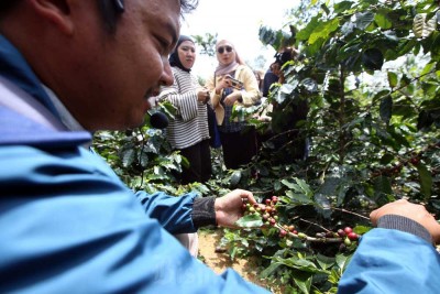 Fugol Coffee Roasters Berdayakan Petani Kopi di Jawa Barat