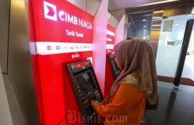 CIMB Niaga (BNGA) Kucurkan Kredit Berkelanjutan Rp56,4 Triliun hingga Semester I/2024