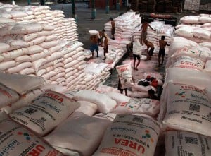 Pemerintah Alokasikan 500 Ribu Ton Pupuk Organik Kepada Petani