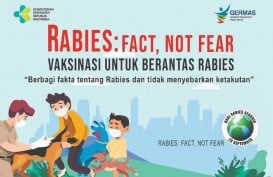 Waspada Rabies, Ini Cara Pencegahannya