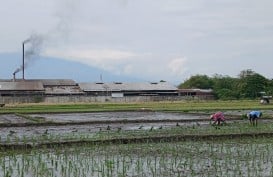 Di Bawah Bayang Beton: Perjuangan Petani Cirebon dalam Deru Alih Fungsi Lahan