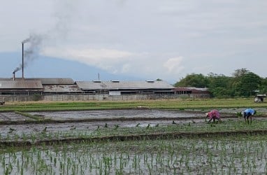 Di Bawah Bayang Beton: Perjuangan Petani Cirebon dalam Deru Alih Fungsi Lahan