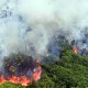 Uni Eropa Segera Tunda Pemberlakuan Undang-Undang Anti Penebangan Hutan, Ini Sebabnya