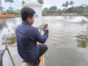 Wamenkominfo Hadiri Panen Raya Ikan Nila pada Kolam Berbasis Teknologi di Sukabumi