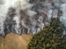 Kekeringan Terparah di Brasil dan Risiko Lonjakan Inflasi Pangn Dunia