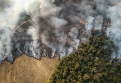 Kekeringan Terparah di Brasil dan Risiko Lonjakan Inflasi Pangn Dunia