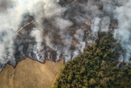 Kekeringan Terparah di Brasil dan Risiko Lonjakan Inflasi Pangn Dunia